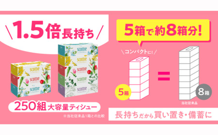 ティッシュ スコッティ フラワーボックス 250組 60箱 5箱×12ﾊﾟｯｸ