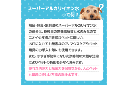 スーパーアルカリイオン水 ANY(アニー) 消臭 詰め替え用 2L   詰め替え用 洗浄除菌水 消臭 無臭 ペットの衛生ケア お掃除 広島県 呉市 ku151-002-r