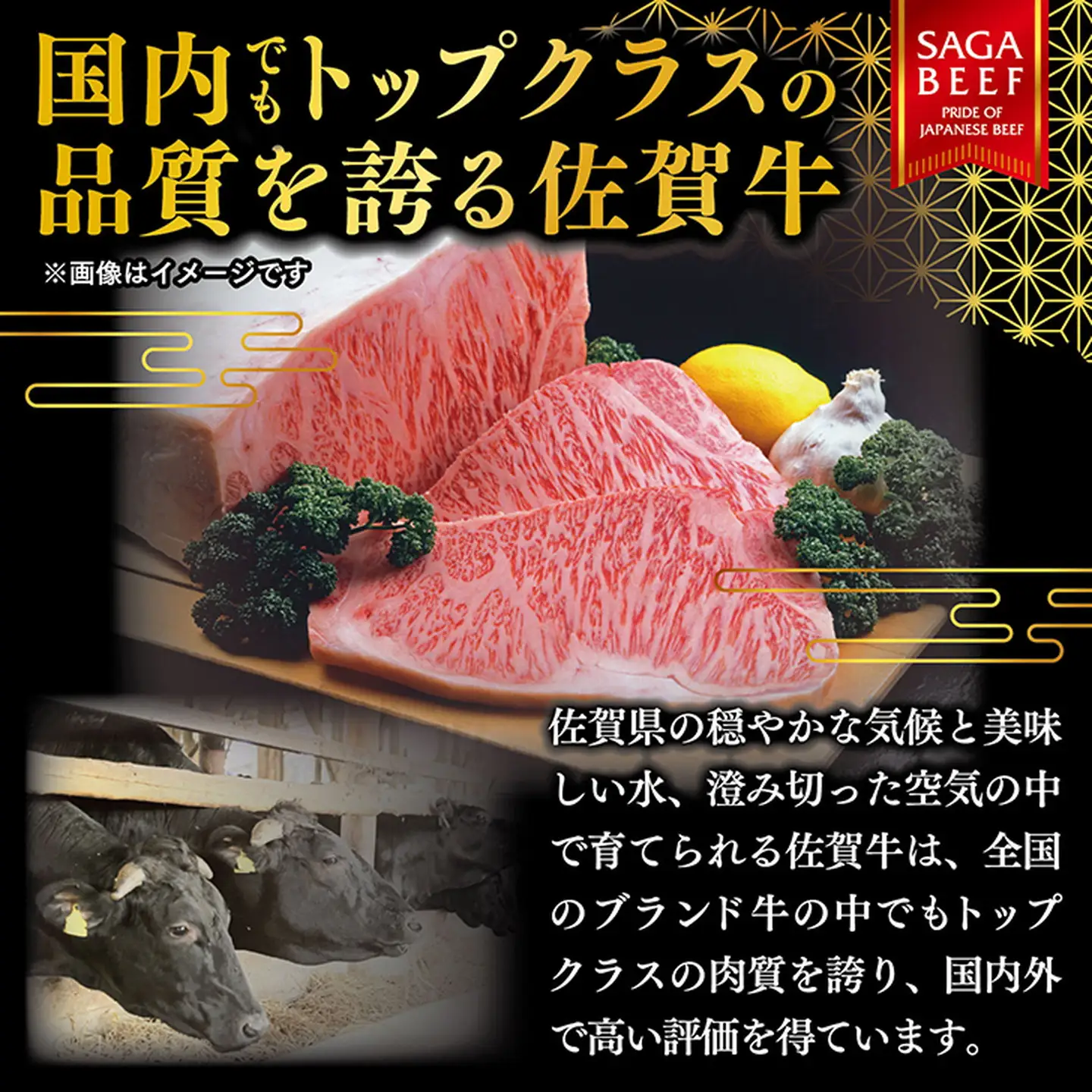 佐賀牛100％ハンバーグ 150g×6個 高評価 ブランド牛100％ 佐賀県 佐賀市 手ごねハンバーグ 贅沢ハンバーグ 佐賀牛 ：B220-052