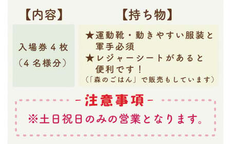 森のあそびばアスレチック利用券　KCE-1
