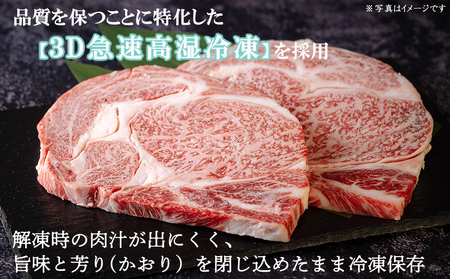 宮崎牛 A4 ロース 赤身 スライス セット 各250g 計500g しゃぶしゃぶのタレ付き ギフト箱入り [南海グリル 宮崎県 美郷町 31bg0010]