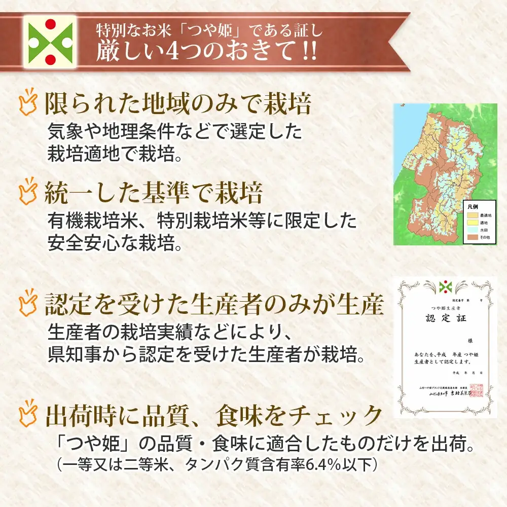 【令和7年産】 つや姫 無洗米 5kg (5kg×1袋)　山形県庄内産　有限会社 阿部ベイコク　| ブランド米 米 こめ コメ ごはん ご飯 国産 庄内米 美味しい おすすめ 人気 山形県 鶴岡市