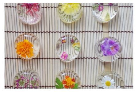 [ずっと観ていたい] フラワー錦玉 10個入 [御菓子司つくし] [0833]