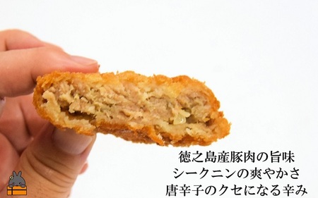《マツコの知らない世界で紹介》 徳之島の旨みあふれる豚肉と新じゃが！徳之島の豚メンチカツ&徳之島コロッケ食べ比べ（20個）（ じゃがいも 新じゃが 豚肉 たまねぎ 唐辛子 ヤマシークニン おかず お弁当 おつまみ 肉汁 美味しい 簡単 料理 徳之島 奄美 鹿児島 冷凍食品 人気 オススメ ）