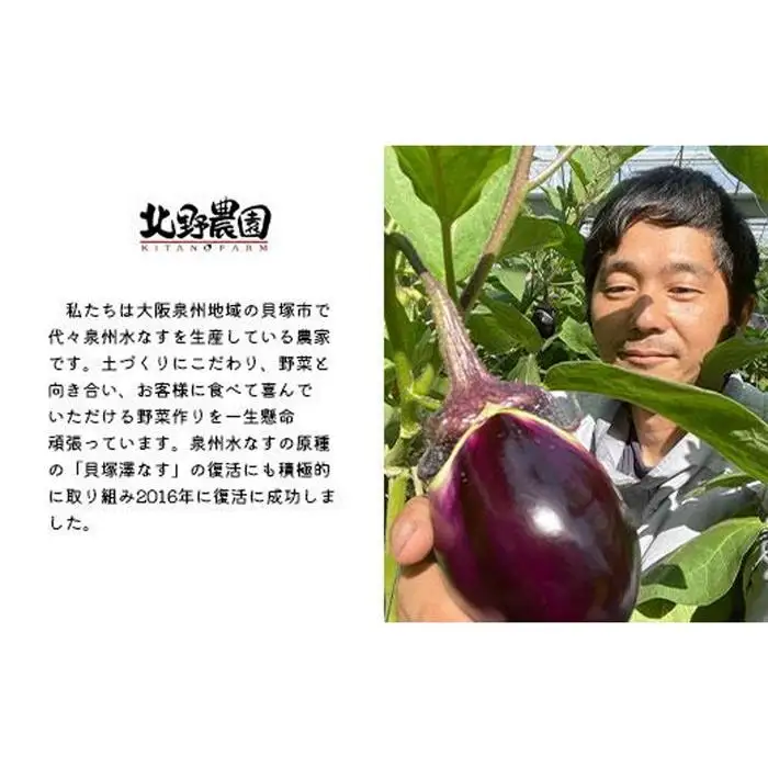 水なすぬか漬３個