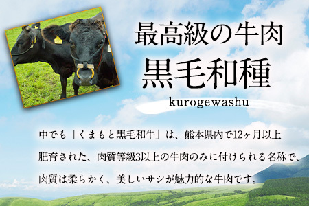 3ヶ月定期便】 A5ランク くまもと黒毛和牛 すき焼き用 400g (計3回お届け×400g 合計1.2kg)《お申込み月の翌月から出荷開始》 南阿蘇L（阿蘇牧場）
