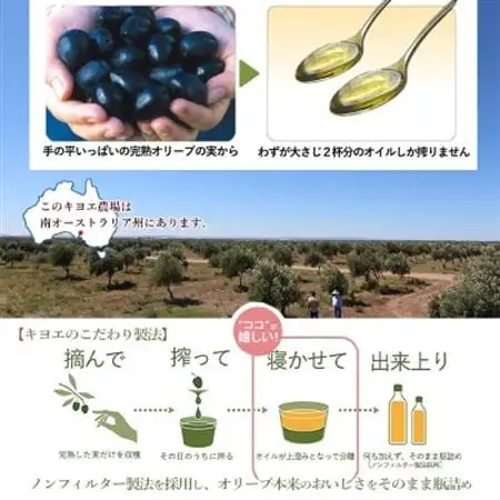 【ファーストクラスでも採用された】『キヨエ』 エキストラバージンオリーブオイル　500ml×6本_調味料 オリーブオイル 食用油 _【1467225】