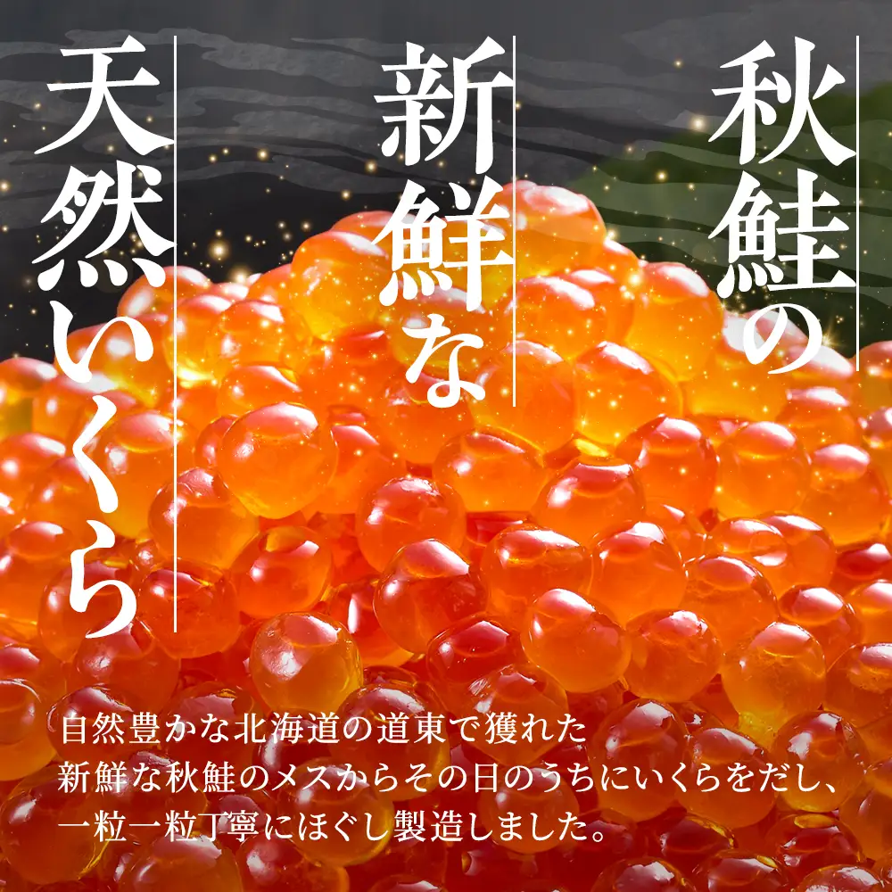 醤油いくら 500g(250g×2)  いくら醤油漬け 鮭いくら