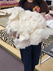 コットンの王様・エジプト綿入り「究極の掛ふとん」（ローズピンク）【CW25W】