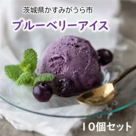 『ブルーベリーやすだ』の濃厚ブルーベリーアイス　10個セット_菓子・スイーツ アイス・ジェラート  _【配送不可地域：離島】【1452596】