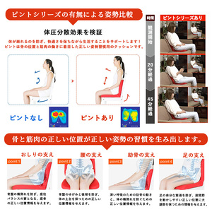 ＜red＞姿勢を整えるクッションp!nto 正しい 姿勢 椅子 イス チェア 座椅子 座布団 フィット 骨盤 骨盤矯正 疲労 疲れ お尻 腰 腰痛 肩 肩こり 猫背 デスクワーク オフィス おうち時間 在宅 テレワーク リラックス【m44-02-A】【ピーエーエス】