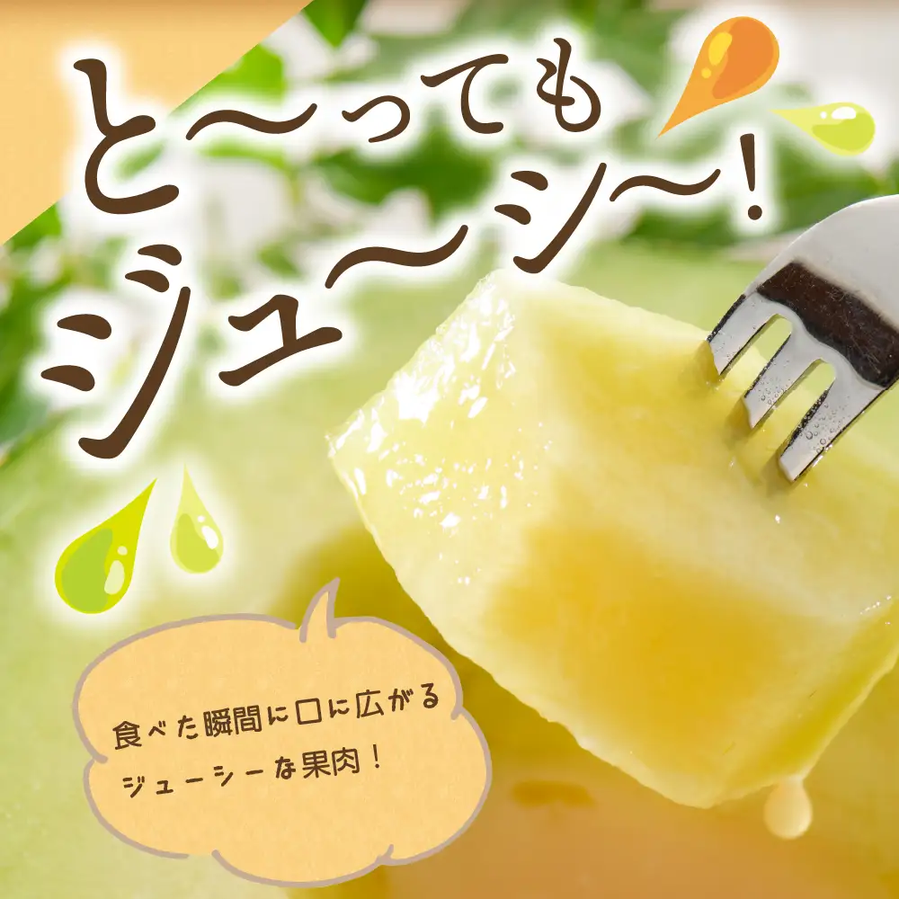 【2026年7月後半発送】メロン 青肉 約8kg 4～6玉 秀～優 青森県産 メロン