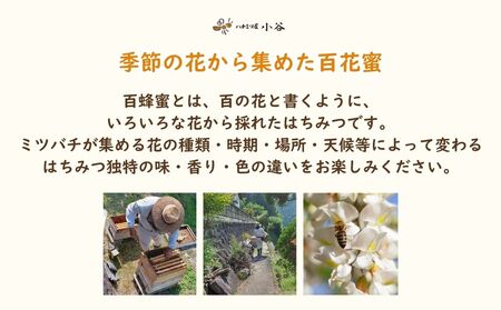 ハチミツ屋小谷 はちみつ 春セット／ 百花蜜 国産 純粋 蜂蜜 ハチミツ ハニー 非加熱 無精製 贈答用 贈り物 奈良県 宇陀市 ふるさと納税