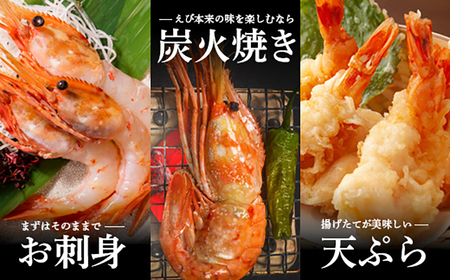 【訳あり】 ぼたんえび 1kg （小サイズ）【0512402】