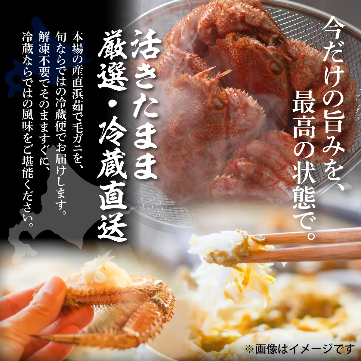 【先行予約】オホーツク海明け活〆浜茹で毛蟹2尾冷蔵届け（オホーツク海産・網走加工）（2026年4月15日以降発送） ABAO2180