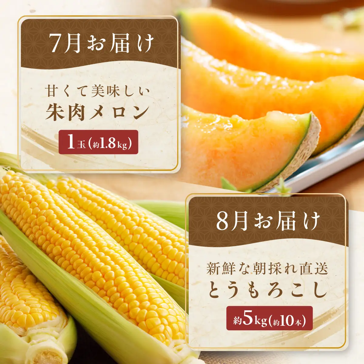 【定期便6回】網走美味農産物定期便「年6回お届け」（網走加工） ABAO1026