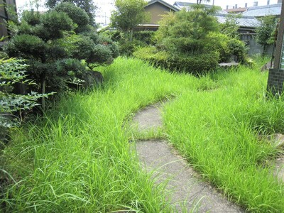 便利屋PAL 利用券 3,000円分[ 草刈り 木伐採 空き家管理 お墓清掃 引越し手伝い ] チケット サービス 代行 代行サービス 家事代行サービス 