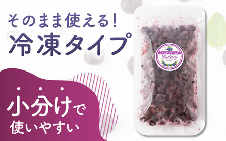 先行予約 【12回定期便】大粒 冷凍ブルーベリー 約2000g（約500g×4pc）【すみれファーム】果物 フルーツ くだもの 大粒 小分け 熊本県産ブルーベリー [ZEP018]