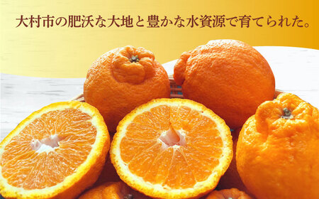 【2026年4月中旬発送開始】長崎県産 不知火 約5kg / 不知火 しらぬい 果物 フルーツ 柑橘 デコポン でこぽん 柑橘 みかん 産地直送  季節 / 大村市 / かとりストアー[ACAN005]