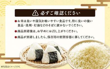 〈令和8年産〉浦臼産 ふっくりんこ 精白米 10kg （5kg×2袋） お米 米 ブランド米 北海道産 北海道 浦臼町 【2026年11月上旬より順次発送】