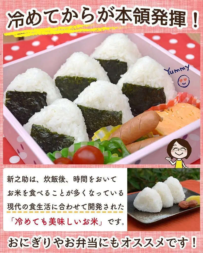 佐渡島産 新之助 無洗米10kg（5kg×2袋）令和7年産
