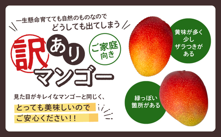 【訳あり】完熟マンゴー 2L×5玉（パック）/ 先行予約 宮崎県産 マンゴー 訳あり