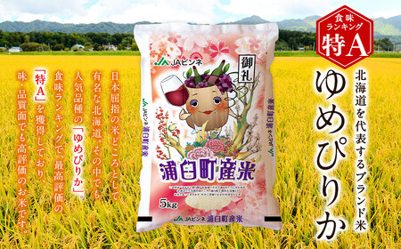 〈令和7年産〉浦臼産 ゆめぴりか 精白米 5kg×1袋 【2026年1月下旬-8月下旬迄順次発送予定】 米 お米 ブランド米 北海道産 北海道 浦臼町
