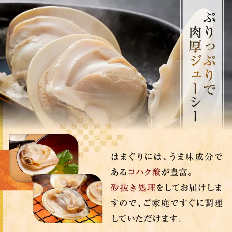 大洗産鹿島灘天然はまぐり 2㎏ 冷蔵 ハマグリ 蛤 貝 砂抜き処理 大洗産 天然 はまぐり_BQ008