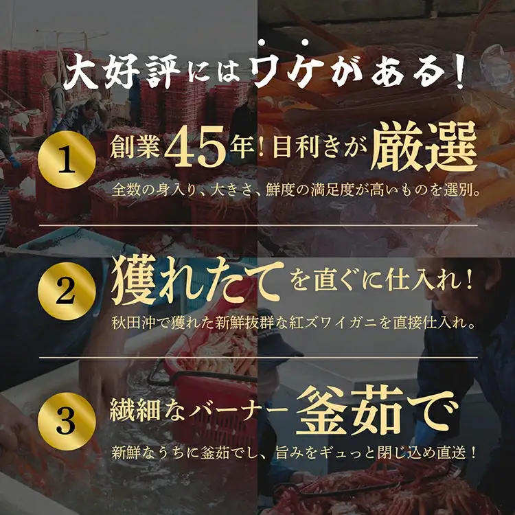 紅ズワイガニ 冷蔵 4匹 2.0kg【安田水産】