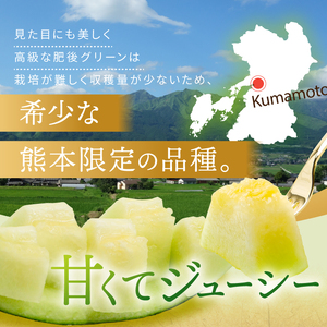 メロン 2玉 肥後グリーン or アールスメロン |  メロン 果物 フルーツ めろん マスクメロン 熊本県 玉名市