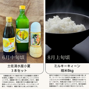【ふるさと納税】【6回定期便】 数量限定 高知の旬を楽しむ 【J00073】