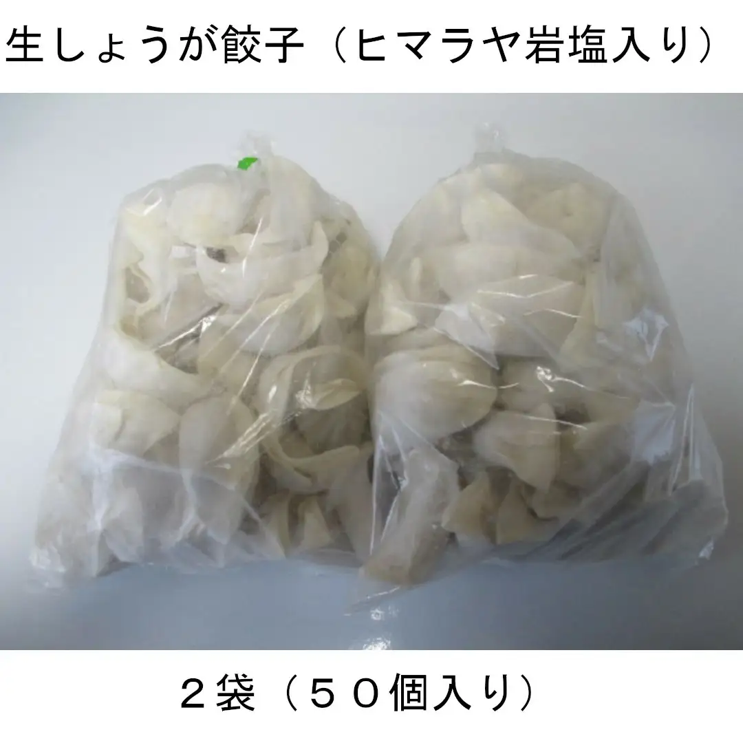 ヒマラヤ岩塩入り生しょうが餃子(22g×100個)　【07208-0284】