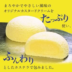 萩の月10個入り 仙台銘菓 定番 お土産 菓匠三全 和菓子