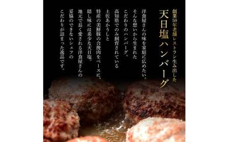 食べ比べ！天日塩ハンバーグ3種セット各3個(110g×3種) 合計9個 ハンバーグ 黒毛和牛 美鮮豚 天然塩 天日塩 デミグラスソース 和風ソース ソース付き 牛肉 豚肉 温めるだけ 冷凍 配送 国産 故郷納税