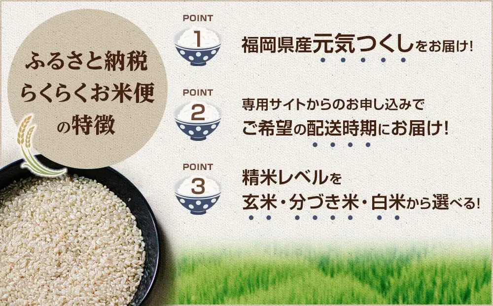 【特A評価獲得！福岡県産元気つくしをお届け】ふるさと納税 らくらくお米便 30kgコース