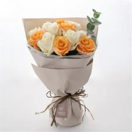 ホシファーム　フリルブーケ　ホワイトオレンジ　12本_花・観葉植物  花 _【配送不可地域：離島】【1465231】