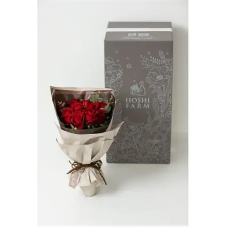 ホシファーム　フリルブーケ　ルージュ　12本_花・観葉植物  花 _【配送不可地域：離島】【1465237】