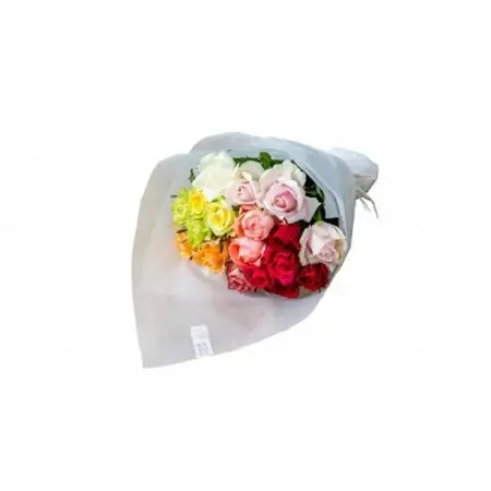ホシファーム　フレッシュブーケ　カラフル　18本_花・観葉植物  花 _【配送不可地域：離島】【1465242】