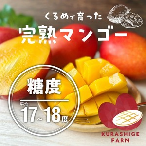 【2026年6月以降お届け】【家庭用】くるめで育った完熟マンゴー（2玉：約0.8～1kg）_先行予約 家庭用 くるめで育った 完熟マンゴー 2個 約0.8～1kg 甘い 子供も安心 果物 果実 スイーツ デザート マンゴー 国産 クール便 倉重農園 お取り寄せ お取り寄せスイーツ 福岡県 久留米市 送料無料 〔Fm016〕