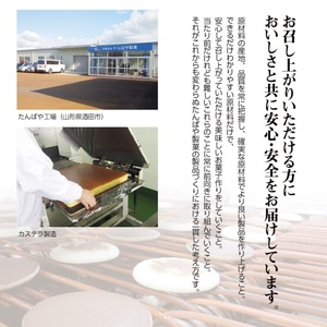 SZ0220　カステラ 3本入り1箱