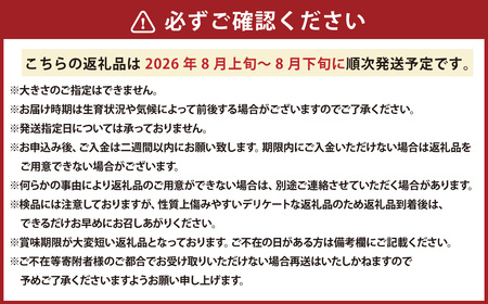 とうもろこし ホワイト 約5kg 【2026年8月上旬～2026年8月下旬発送予定】 野菜 とうもろこし コーン ホワイト 白 高糖度 甘い 北海道 浦臼町