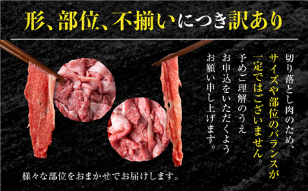 《定期便》飛騨牛 切り落とし 肉 400g ×6回 定期便 計2.4kg JAひだ [S630]