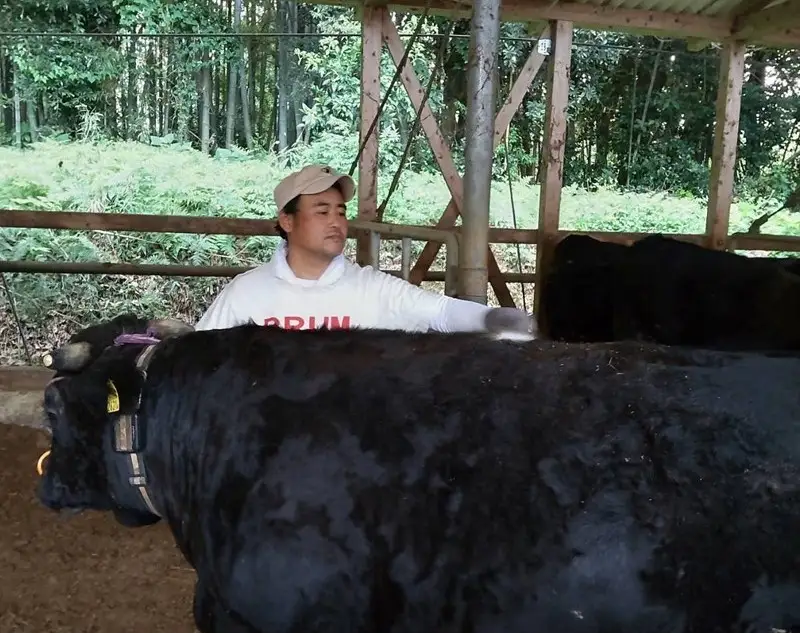 ＜なかむら謹製＞【博多和牛】黒毛和牛肩ロースしゃぶしゃぶ用うす切り800g【E-085】