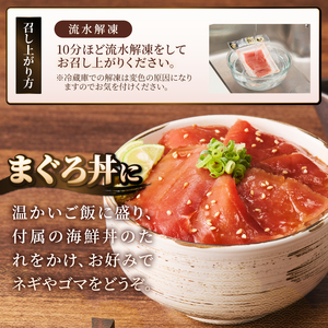 駿河屋賀兵衛 本まぐろ尽くし セット 2人前 大物 本マグロ まぐろ 大トロ 中トロ 赤身 計280g 海鮮丼のたれ付 贅沢 食べ比べ 寿司ネタサイズ カット済み 切り身 刺身 海鮮丼 寿司 巻き寿司 旨味 爽やか 人気 冷凍発送 静岡県 富士市 [sf067-011]