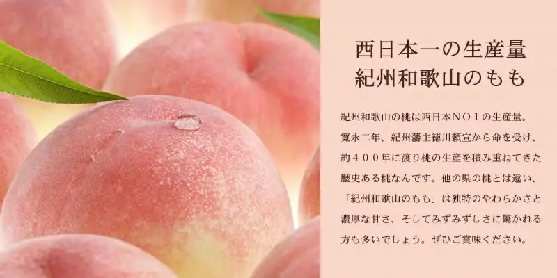 桃 和歌山の桃 秀品 約3.8～4kg (サイズ・品種おまかせ) 【2026年6月中旬～2026年8月中旬頃に順次発送予定】【TC1】【AX004-kgtb800B】