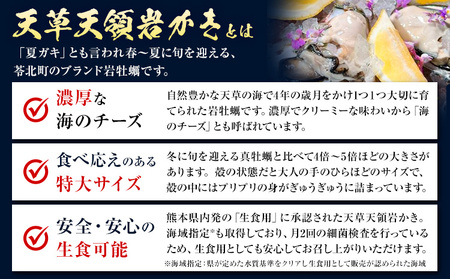 岩牡蠣 2.5kg かき 浜崎水産 牡蠣 生食