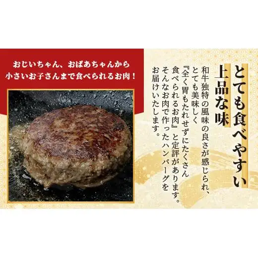 石垣島産 黒毛和牛 新里牛 職人手ごね生ハンバーグ (150g×6) 合計900g SZ-7
