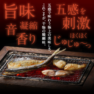 丸福水産・海鮮定期便（12回）｜ 干物 アジフライ 干物 定期便【Z070】