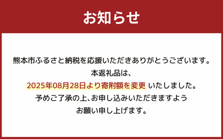 肥後グリーンメロン 1玉入り 約1.6kg以上 【2026年5月上旬～7月上旬迄順次発送予定】