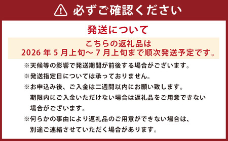小玉すいか 1玉入り 約1.5kg以上【2026年5月上旬～7月上旬迄順次発送予定】